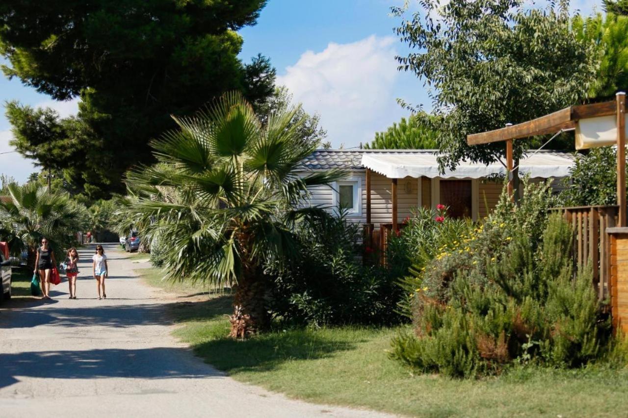 Mobil-Home 3Ch 34 M2 A Saint-Cyprien 外观 照片